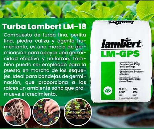 Sustrato Lambert Canadiense