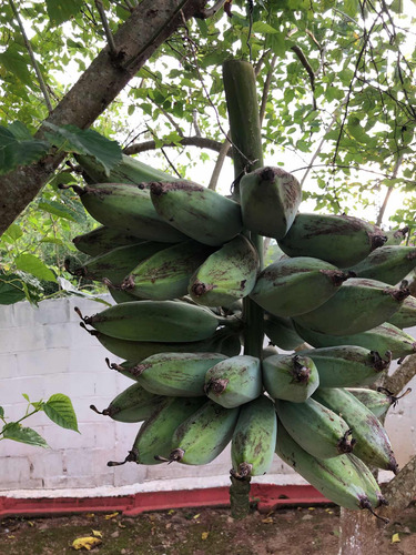 Viver Com A Natureza Não Tem Preço.