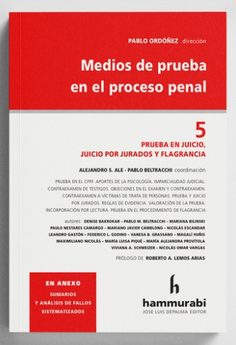 Medios De Prueba En El Proceso Penal Tomo 5, De Ordoñez Pablo. Editorial Hammurabi, Tapa Blanda, Edición 1 En Español, 2022