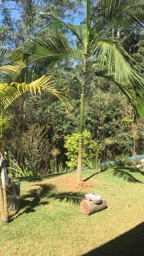 Imagem 19 de 22 de Casa Térrea Com 3 Suites - Ca0626