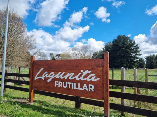 Casa Con Vista Volcán En Loteo Lagunita Frutillar