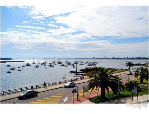 Imagen 25 de 30 de Apartamento En Punta Del Este, Peninsula
