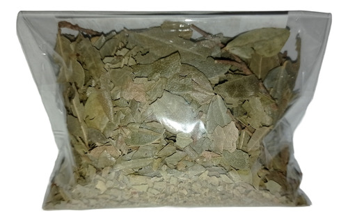 Té De Boldo 30gr 100% Natural Productos Tenango