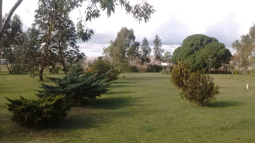 Imagen 25 de 26 de Latorre Prop Vende Casa Quinta 3 Amb , 8600 M2 De Parque