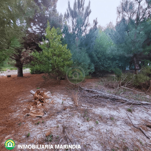 Vendo Terreno En Balneario Argentino