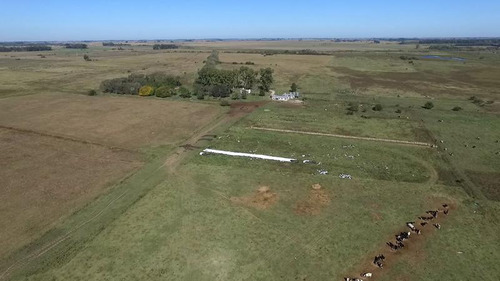 Campo  En Venta 360 Has Mixto En Magdalena. Ex Tambo 80 % Agrícola.