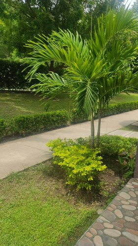 Imagen 16 de 22 de Se Arrienda Hermosa Casa En Girardot/ Ricaurte $1.000.000