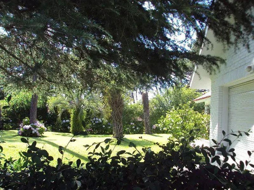 Casa - Punta Del Este