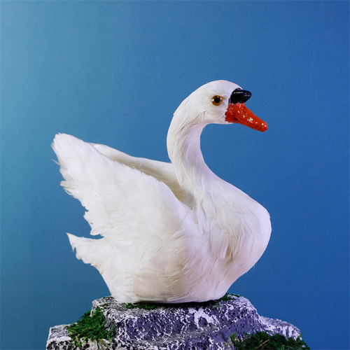 Animal Modelo Cisne Artificial Para Fotografía De