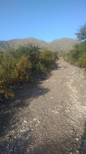 Se Vende Lotes Capilla Del Monte