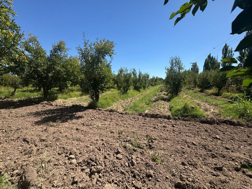 Finca A La Venta En San Rafel -gran Oportunidad