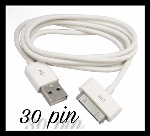 Cargador Para iPad 1 2 3 De 12wts + Cable Usb 30 Pines Local