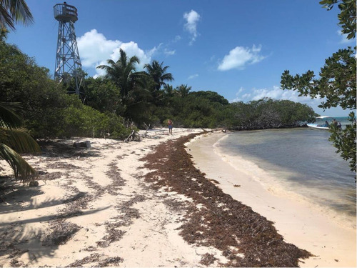 Terreno En Venta En Andres Quintana Roo