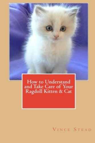 How To Understand And Take Care Of Your Ragdoll Kitten  Y  C