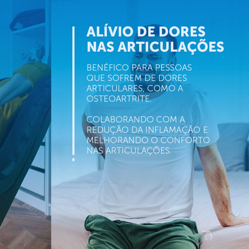 3 Colágeno T2 Zinco Magnésio 30 Cápsulas Joint Herbolab Sabor Sem Sabor