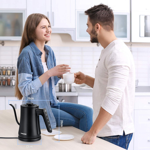 Tetera Hervidora Eléctrica de Acero Inoxidable con Cuello de Cisne,1000W Temporizador y Control de Temperatura,Jarra Portátil para Café, Té y Agua Hirviendo,Calentamiento Rápido y Auto Apagado