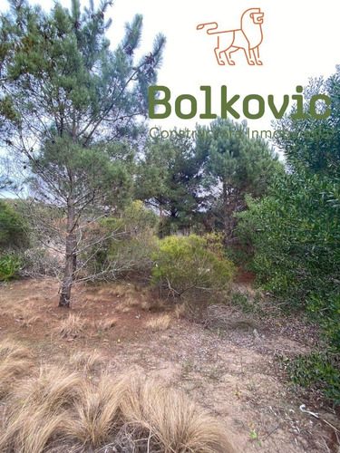 Imagen 2 de 8 de Lote En Venta - Ecuestre 72.