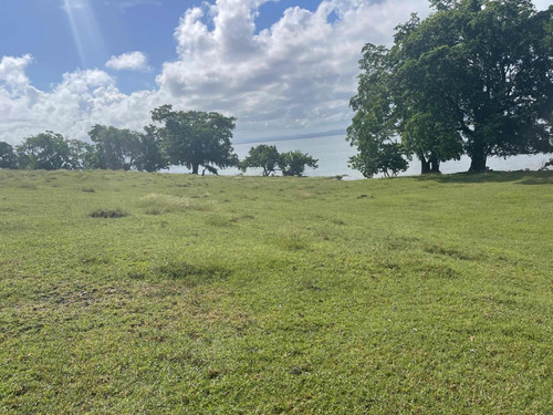 Se Vende Terreno En Samana 28,000mts Con Playa