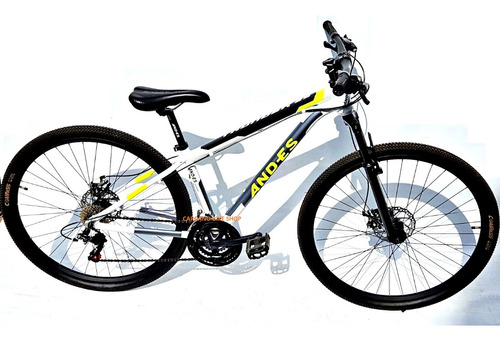 Bicicleta Mtb Andes Thunder R29 Disco Mecanici 21v Talle 15