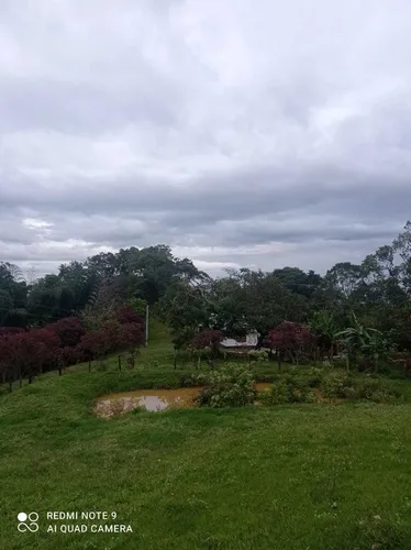 Vendo Hermosa Finca En Ibague