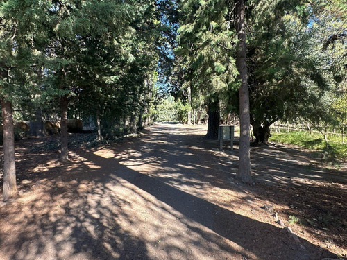 Venta De Chacra En Allen, 6 Hectareas