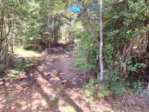 Campo Con Casa En Fresia, Excelente Inversión