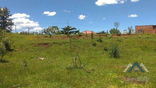 Imagem 5 de 17 de Chácara À Venda, 10000 M² Por R$ 255.000,00 - Nosso Recanto - Londrina/pr - Ch0207