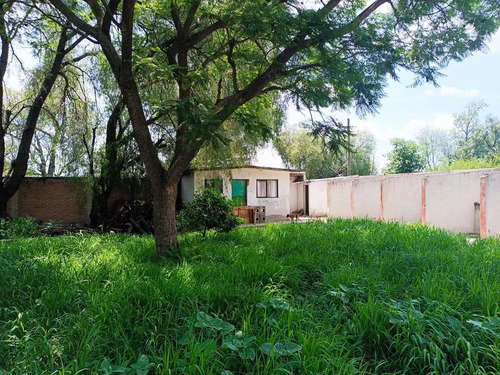 Propiedad En Renta/venta Camino A San Jose De Los Mendoza San Juan De La Vega Celaya