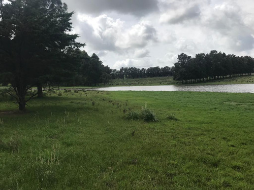 Campo De 30 Hás Próximo A Km 73 De Ruta 9 , Destino Turistico O Producción.