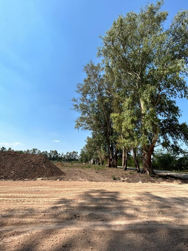 Imagen 8 de 24 de Terreno Lote En Venta Barrio Cerrado Dionisio Sobre Nueva Autopista