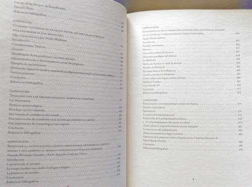 Libro Pensamiento Sistémico. Nuevas Perspectivas Y Contextos