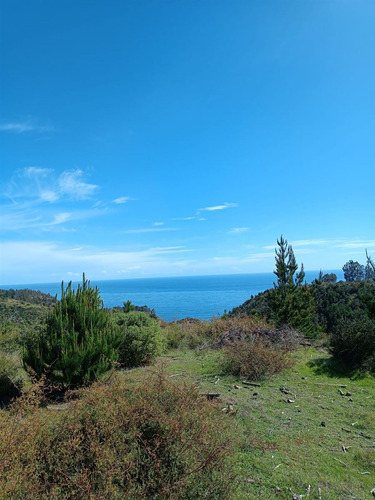 Parcela En Venta Con Exclusiva Vista Al Mar En La Polcura