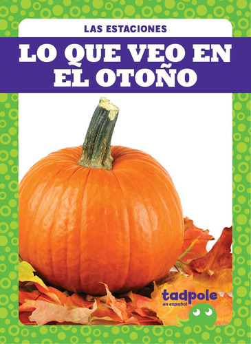 Libro: Lo Que Veo En El Otoño (what I See In Fall) (tadpole 