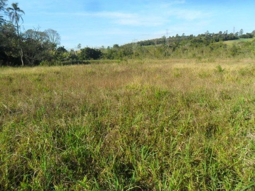 Imagem 3 de 11 de Terreno Residencial À Venda, Cocuera, Mogi Das Cruzes. - Te0006 - 33283274