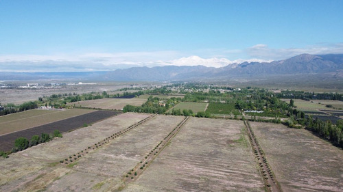 Venta Lotes Barrio Verona Vistalba Lujan De Cuyo