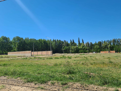 Imagen 6 de 13 de Re/max Vende Terreno En Loteo La Alicia Plottier