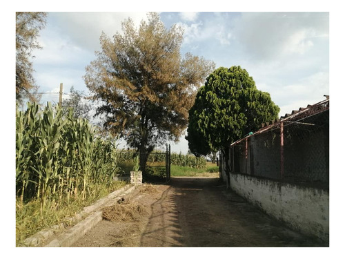 Imagen 13 de 30 de Terreno En Venta Cerca Del Aeropuerto
