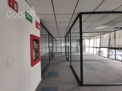 Renta - Oficina - Magnocentro 5 - 300m2 - Piso 1