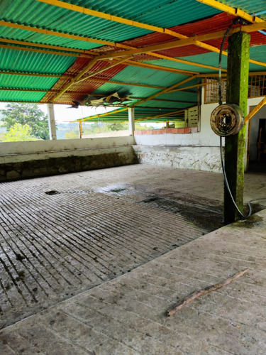 Se Vende Finca En Michelena