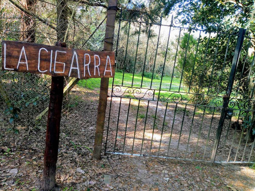 Quinta Alquiler Temporario Zona Sur Ruta 2 Por Dia Eventos Reuniones Cumpleaños Despedidas