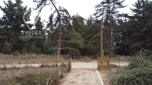 Terreno Plano Los Pinos Gran Conectividad