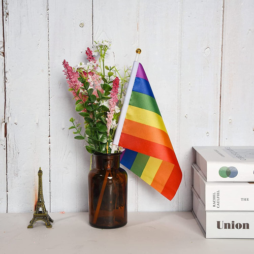 10 Unids Banderines Pride Orgullo Gay Lgbt Bandera Arcoiris