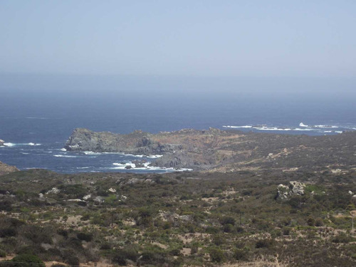 Oportundiad Venta Parcela,los Molles. (91383)