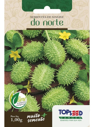 Semente De Maxixe Do Norte Topseed Sem Agrotóxico - 1g Horta