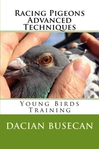 Racing Pigeons Advanced Techniques Young Birds Training