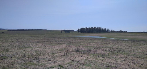 Campo En Venta