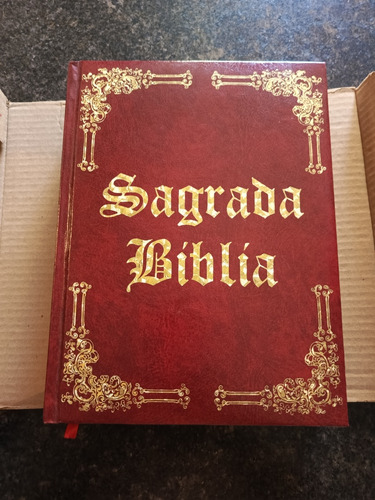 Santa Biblia Ilustrada 