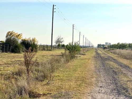 Imagen 6 de 20 de Venta Chacra 15 Hectareas Cañuelas Buenos Aires