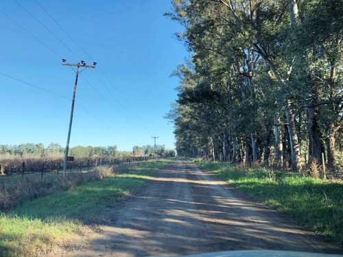 Venta De Campo 15 Hectareas En Lima Zarate Permuta