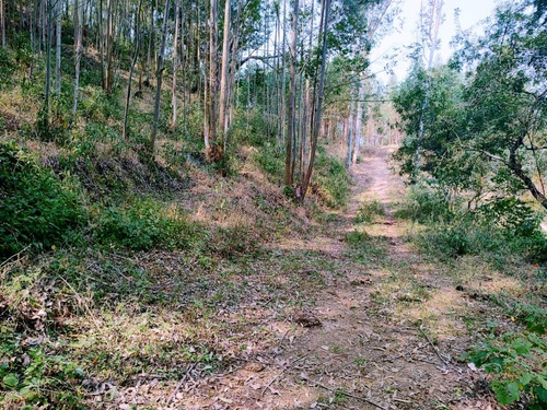 Imagem 8 de 19 de Terreno Escriturado À Venda Em Piracaia/sp - 1000 - 34968879